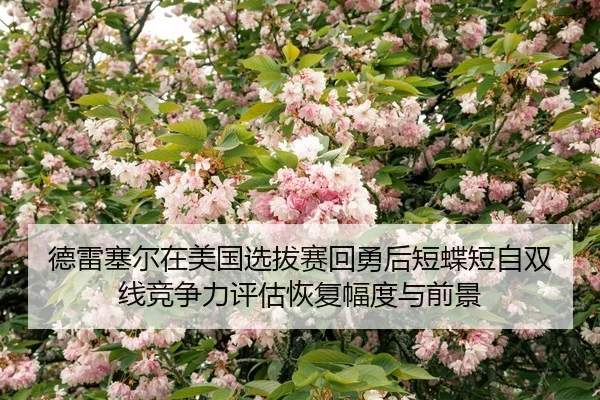 de-lei-sai-er-zai-mei-guo-xuan-ba-sai-hui-yong-hou-duan-die-duan-zi-shuang-xian-jing-zheng-li-ping-gu-hui-fu-fu-du-yu-2-359.jpg